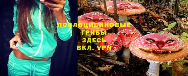 марки nbome Дмитриев