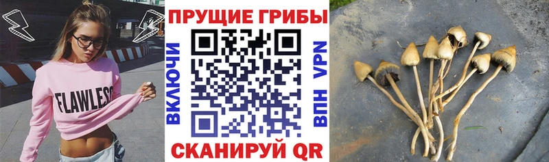 Галлюциногенные грибы мухоморы  Искитим 