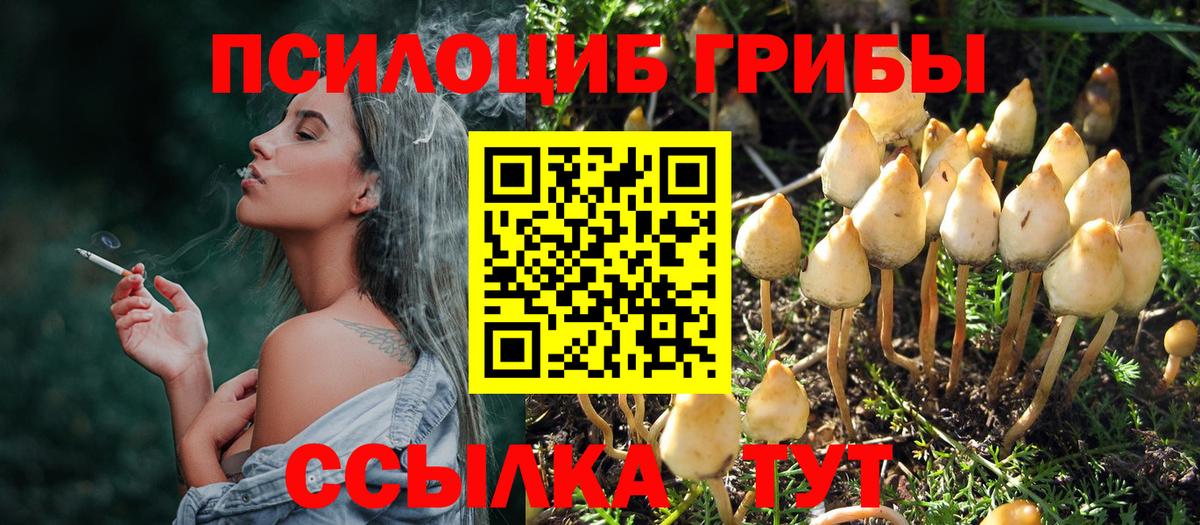 Галлюциногенные грибы мицелий  даркнет сайт  Псилоцибиновые грибы Psilocybe  Искитим  Вход с VPN 