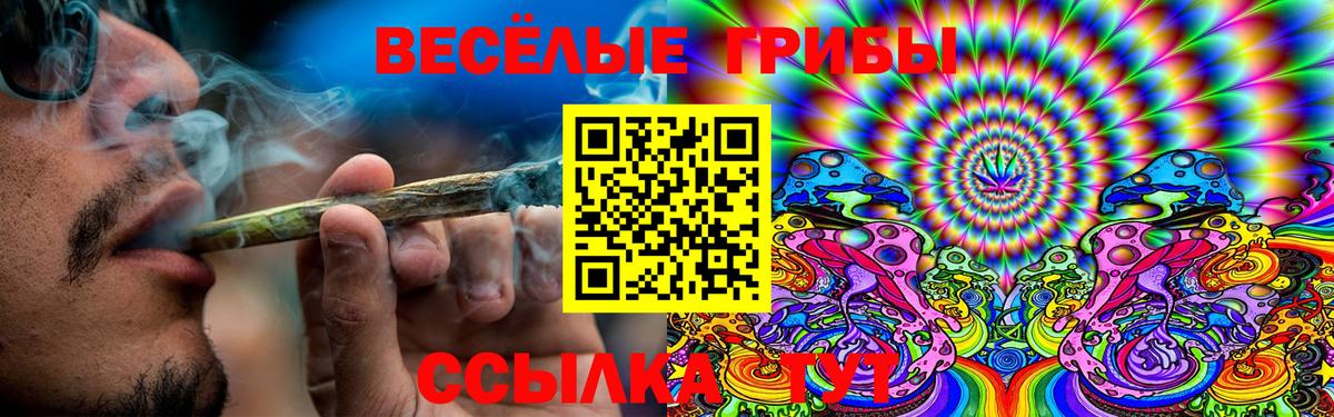 Псилоцибиновые грибы Magic Shrooms Искитим